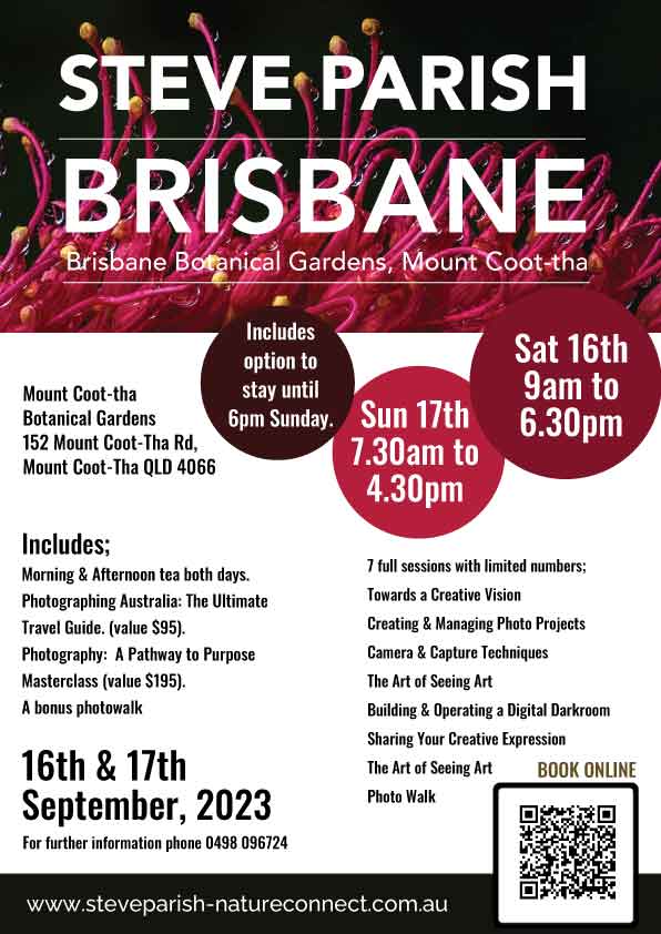 Brisbane Poster