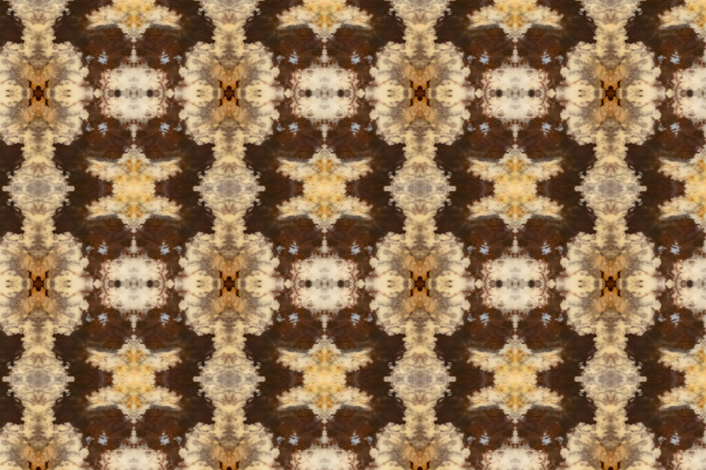 pattern-4